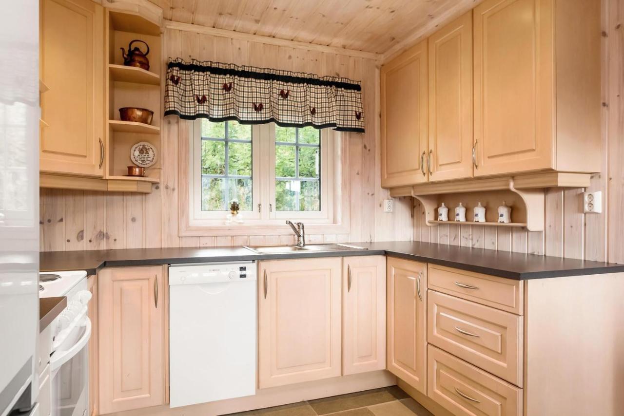 Reveenka - Cabin In Trysil With Jacuzzi For Rent Exterior foto