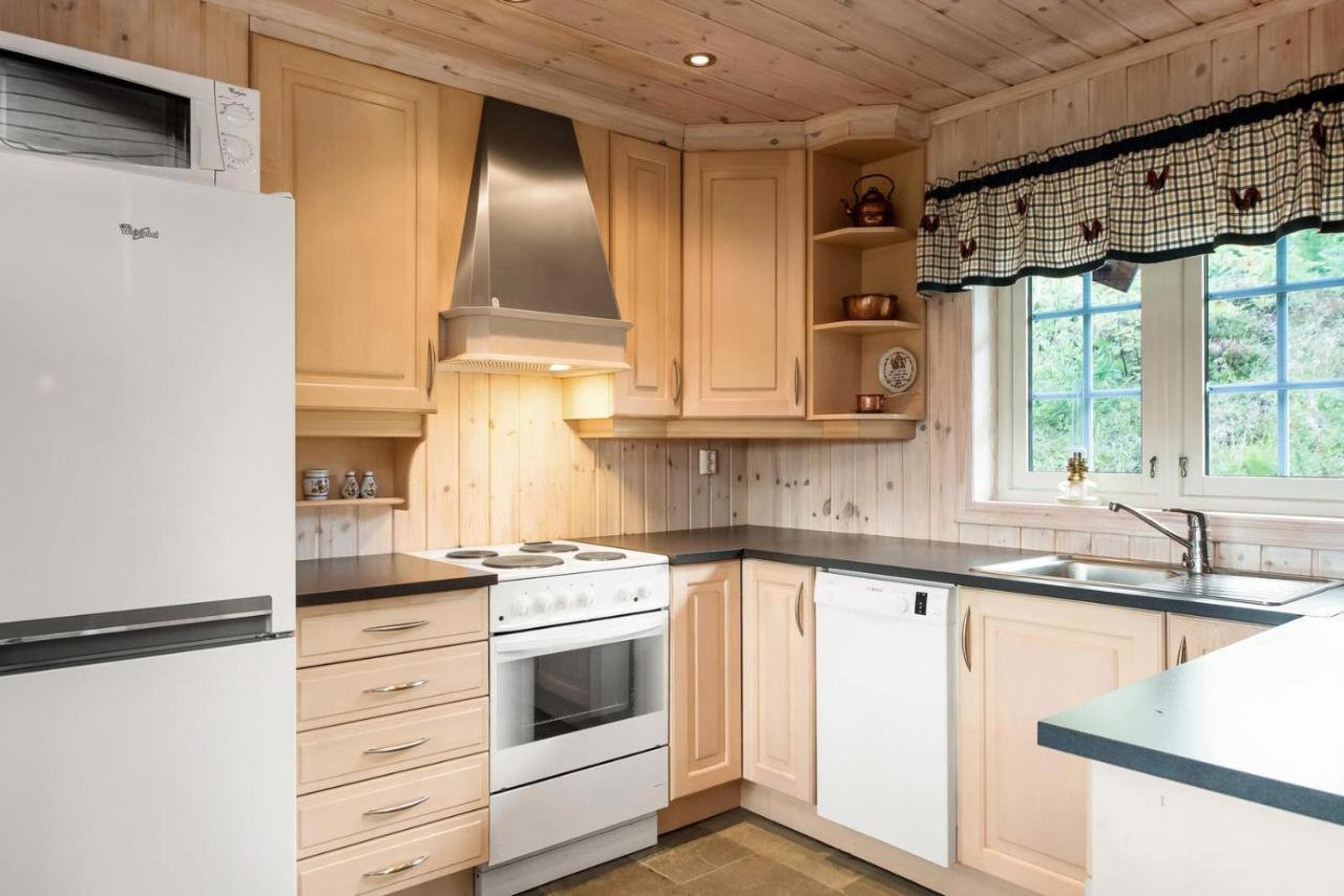 Reveenka - Cabin In Trysil With Jacuzzi For Rent Exterior foto