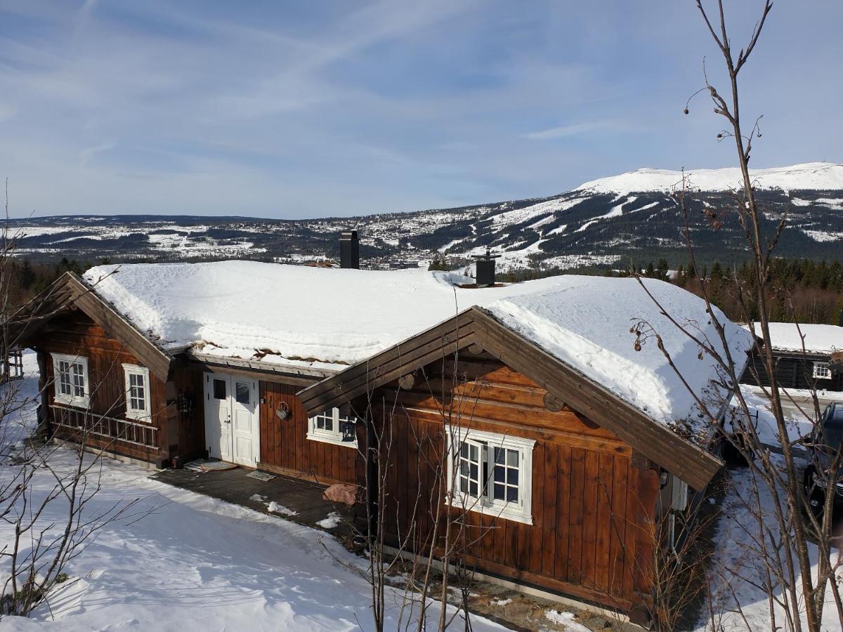 Reveenka - Cabin In Trysil With Jacuzzi For Rent Exterior foto